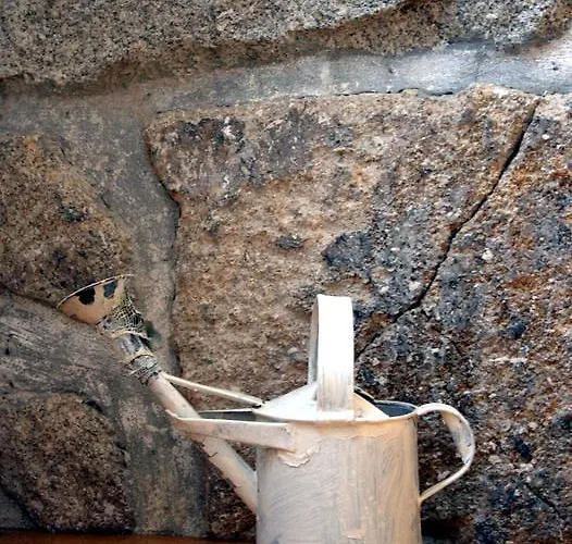 Casa Da Fonte - Boa Aldeia